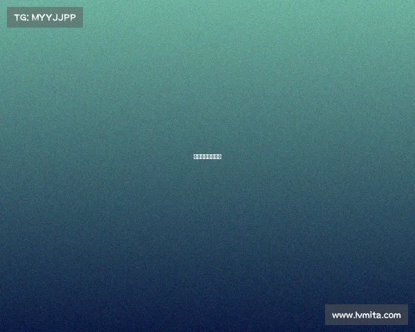 篮网最近比赛时间